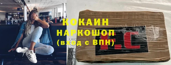 индика Арсеньев