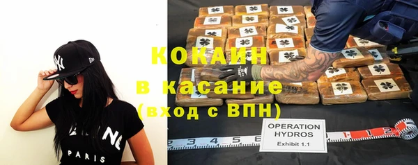 индика Арсеньев