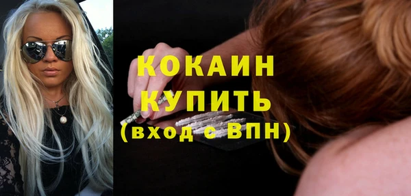 индика Арсеньев