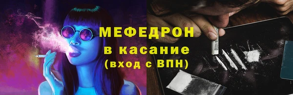 индика Арсеньев
