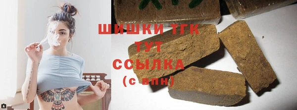 индика Арсеньев