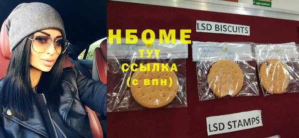 индика Арсеньев