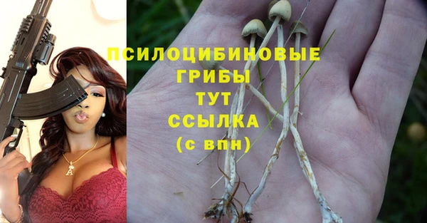 скорость Армянск